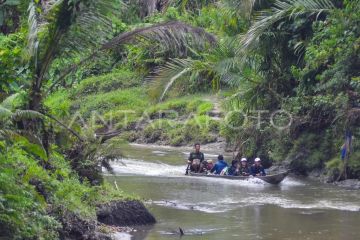Pelayanan kesehatan ke pedalaman Mentawai