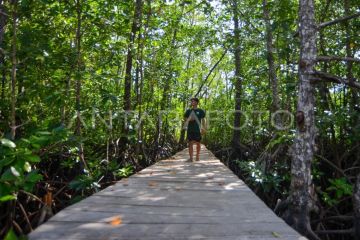 Potensi wisata mangrove Pulau Siberut Mentawai