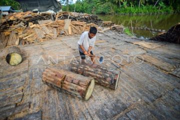 Pemanfaatan sagu di Kepulauan Mentawai