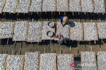 Produksi ikan kering terkendala cuaca