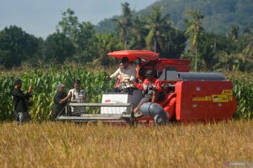 Kunjungan kerja Wamentan di Jember