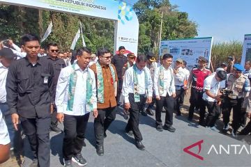 Soal beras oplosan, Mentan tindak tegas