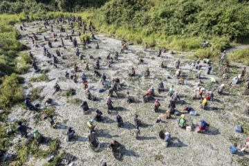 Pelestarian tradisi bekarang di Muaro Jambi