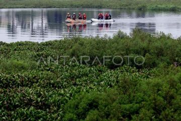 Eceng gondok memenuhi Situ Gunung Putri Bogor