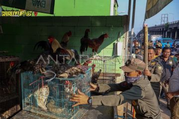 Pembongkaran lapak PKL di Pasar Cileungsi Bogor
