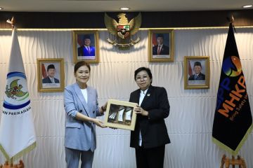 KKP bangun sinergi permudah perikanan Indonesia masuk pasar Korea