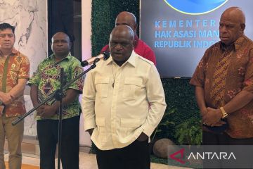 Menteri HAM: Negara berhak larang pengibaran bendera anime One Piece