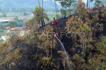 Upaya pemadaman karhutla di Limapuluh Kota