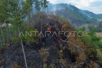 Upaya pemadaman karhutla di Limapuluh Kota