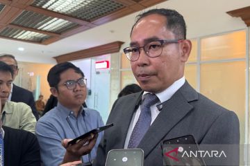 Kemlu RI: Ada WNI jadi korban razia imigrasi di pabrik Hyundai AS