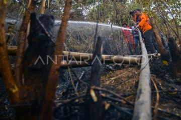 Upaya pemadaman karhutla di Limapuluh Kota