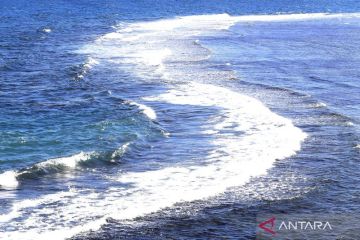 BMKG: Tsunami terdeteksi 19 cm di Pelabuhan Sarmi Papua