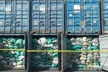 Penambangan batu bara ilegal di IKN rugikan negara Rp5,7 triliun