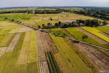 Luas panen dan produksi padi di Indonesia