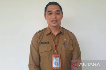 Bangka Belitung Islands bans hoisting of pirate anime flags