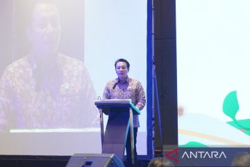 Wamen LH soroti peran skema insentif EFT ke daerah untuk target emisi