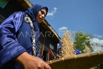 Tradisi manumbuak ampiang