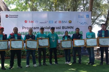 Dukung Pelestarian Ekosistem Laut, WIKA Bersama 7 BUMN Tanam 2.500 Bibit Terumbu Karang di Banyuwangi