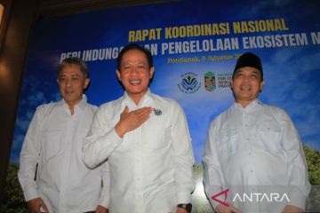 KLH pulihkan 769 ribu hektare mangrove di Indonesia