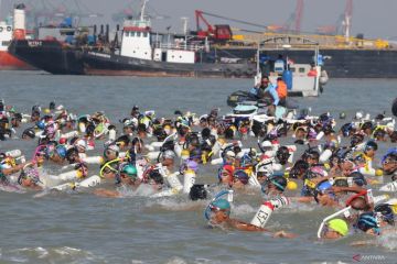 Lomba Fin Swimming Selat Madura Piala KSAL 2025