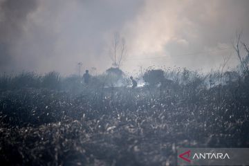Pemadaman kebakaran lahan di Ogan Ilir
