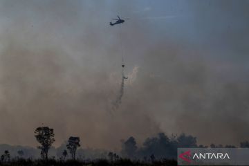 Pemadaman kebakaran lahan di Ogan Ilir