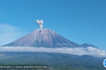Gunung Semeru hari ini erupsi lima kali dengan tinggi hingga 1 km