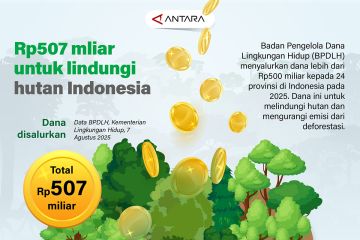 Rp507 miliar untuk lindungi hutan Indonesia