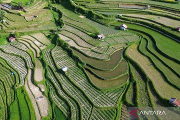 Pelajaran dari longsor Cisarua Bandung Barat