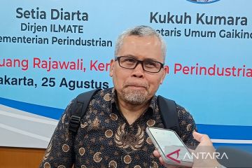 LPEM UI dorong insentif berbasis emisi dan TKDN pacu industri otomotif