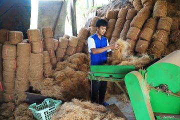 UKM pengolahan limbah sabut kelapa di Tulungagung