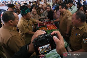 Mendagri tinjau pangan murah di Kendari