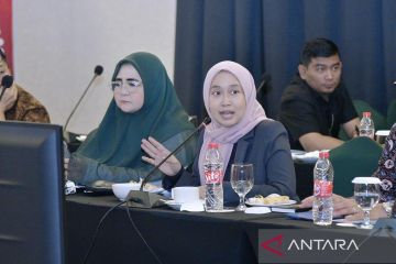 Anggota DPR minta PLN perjelas model bisnis untuk bahan RUU listrik