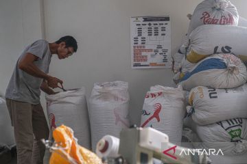 UKM Kopi binaan BI Sultra di Konsel