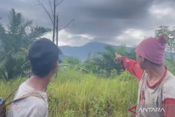 Upaya pencarian heli diduga jatuh di Mentewe Kalsel