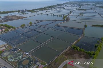 Proyek revitalisasi tambak di pantura
