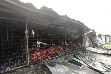 Gudang oli di Palmerah Jakbar ludes terbakar