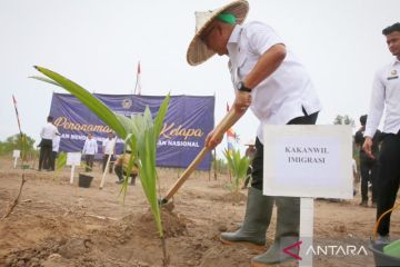 Penanaman Kelapa Hibrida Kemenimpas di Aceh