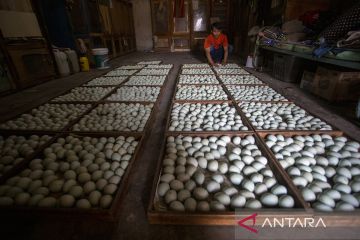 Sentra penetasan itik di Indramayu