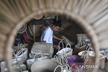 Kontribusi penyerapan tenaga kerja di sektor UMKM