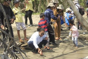 Pelepasliaran Tukik di Kupang