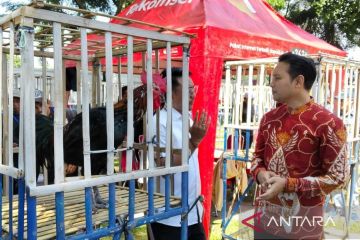 Pemkab Cianjur jadikan kontes ayam pelung sebagai agenda tahunan