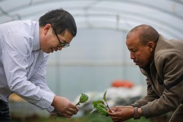 Inisiatif GGI akan petakan ulang kerja sama internasional