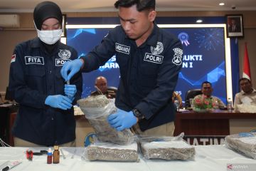 Pemusnahan barang bukti ganja