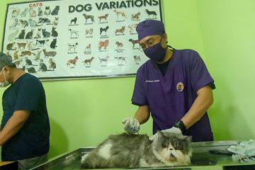 Cegah rabies, ratusan hewan piaraan divaksinasi di Madiun