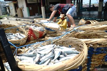 Tangkapan ikan nelayan terdampak cuaca ekstrem