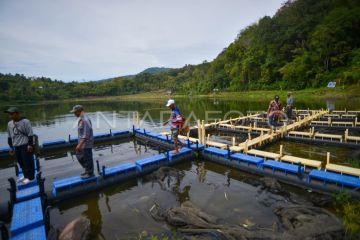 Potensi Danau Tuo di Solok