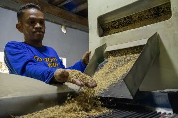 Optimalisasi penggilingan padi menggunakan huler elektrik