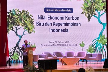 Ilmuwan soroti potensi konservasi mangrove untuk nilai karbon biru