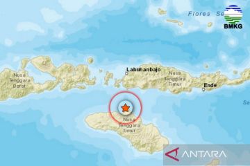 BMKG: Gempa tektonik M 4,9 guncang Waingapu-NTT